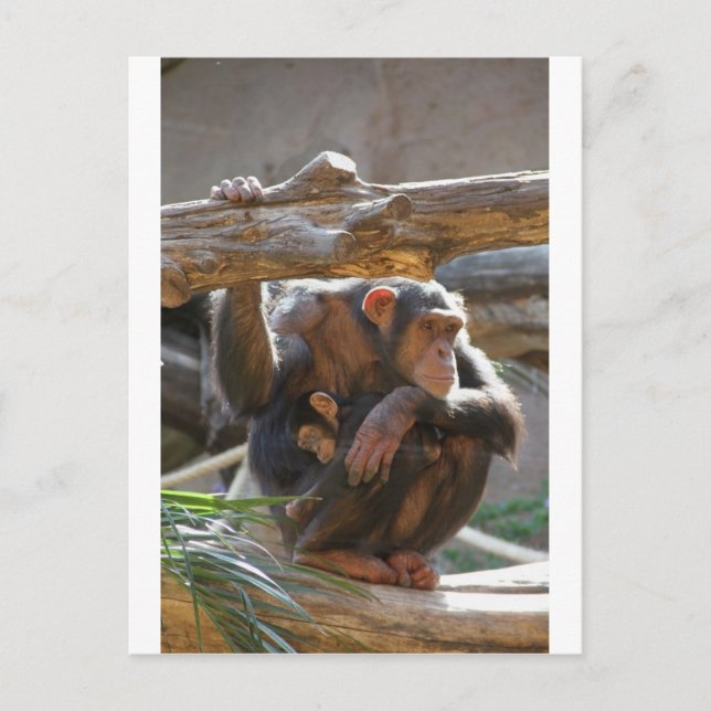 Carte Postale Mother and Baby (Devant)