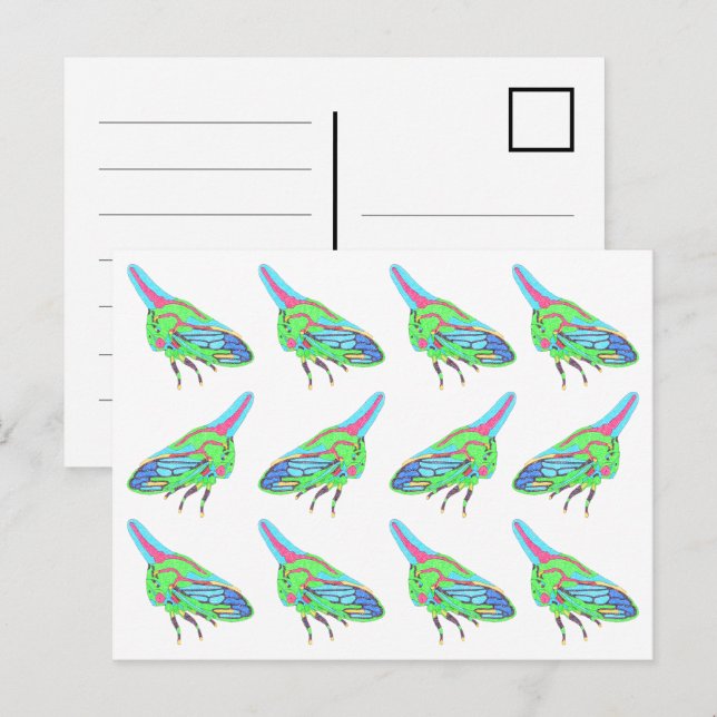 Carte postale (motif blanc) - Sauterelle de chêne (Devant / Derrière)