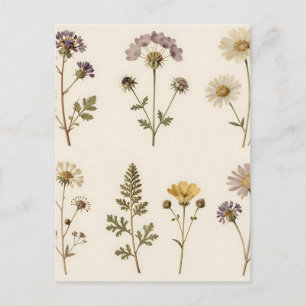 Carte Postale Motif botanique de fleurs sauvages pressées vintag