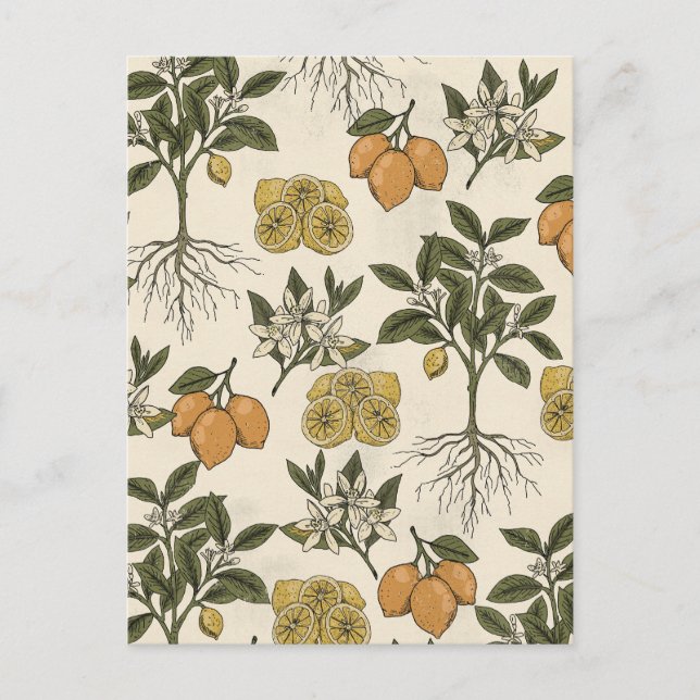 Carte Postale Motif Citron Vintage (Devant)