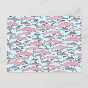 Carte Postale Motif dauphin rose