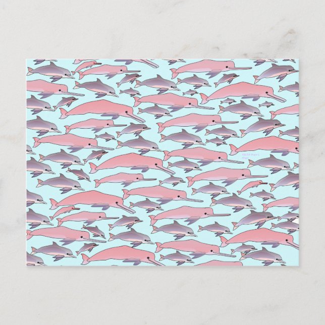 Carte Postale Motif dauphin rose (Devant)