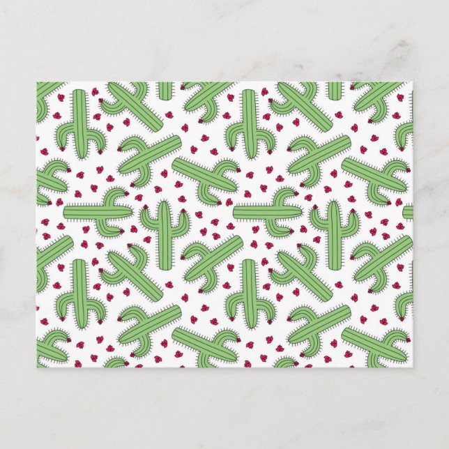 Carte Postale Motif de cactus et de fleurs roses (Devant)