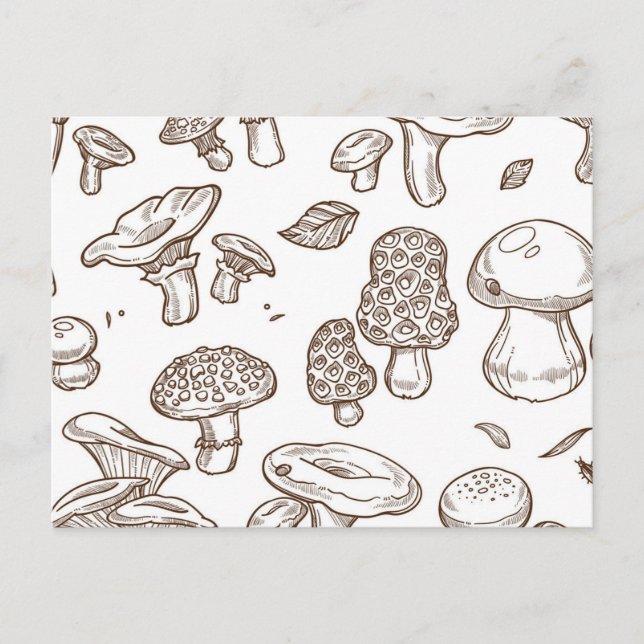 Carte Postale Motif de champignons (Devant)