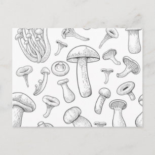 Carte Postale Motif de champignons