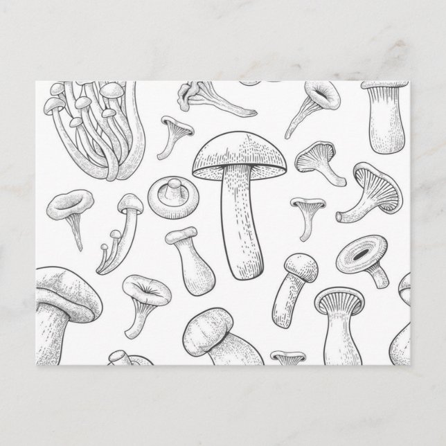 Carte Postale Motif de champignons (Devant)