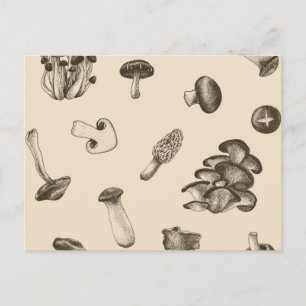 Carte Postale Motif de champignons