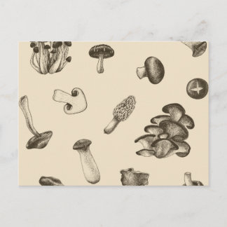 Carte Postale Motif de champignons