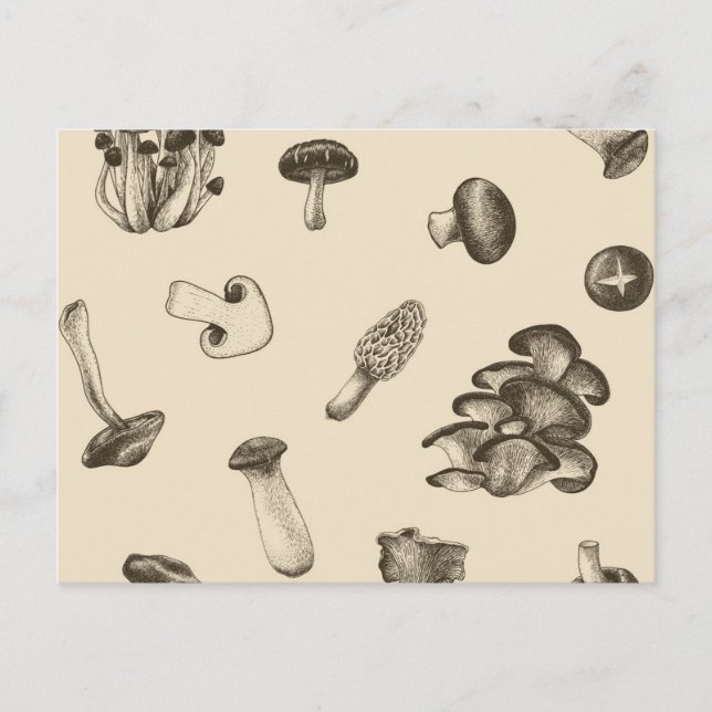 Carte Postale Motif de champignons (Devant)