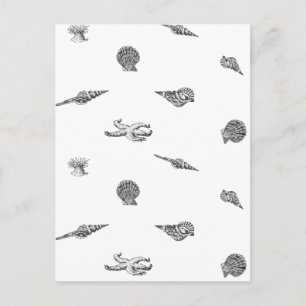 Carte Postale Motif de coquillages et de sébastes