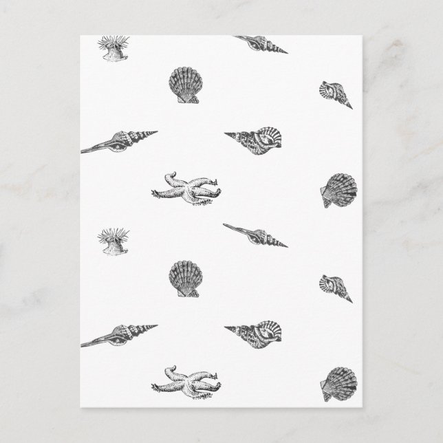 Carte Postale Motif de coquillages et de sébastes (Devant)