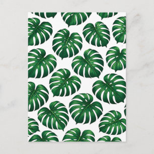 Carte Postale Motif de feuille de Monstera tropicale