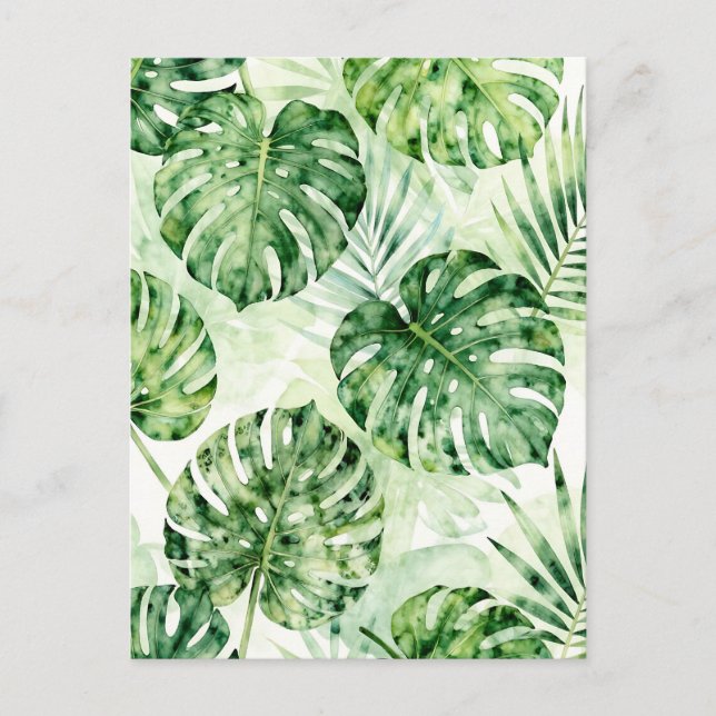 Carte Postale Motif de feuilles de monstera palmées tropicales à (Devant)