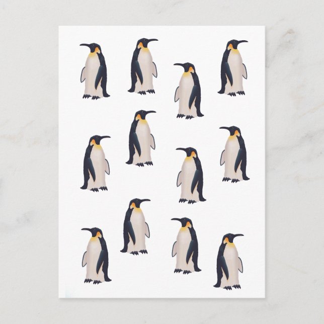 Carte Postale Motif de manchots mignons (Devant)