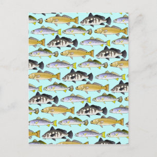 Carte Postale Motif de mer et de tambour en bleu