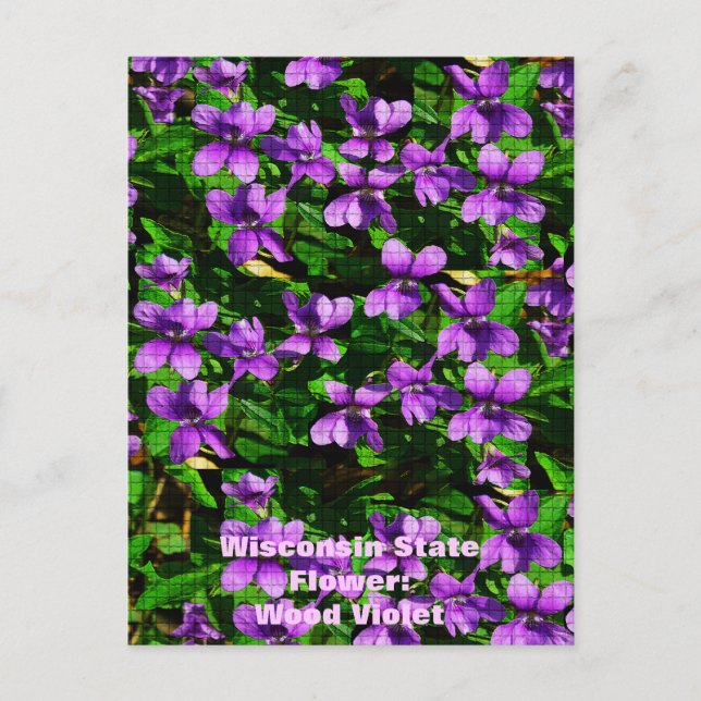 Carte Postale Motif de mosaïque en bois de violet de fleur WI (Devant)