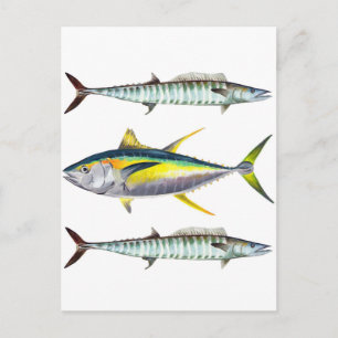 Carte Postale motif de poissons jauniers et wahoo