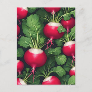 Carte Postale Motif de radis légume frais