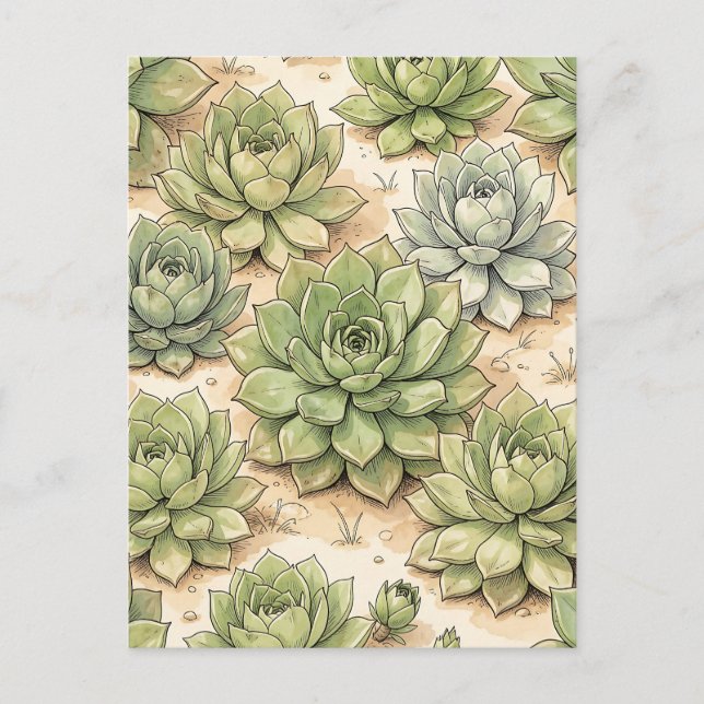 Carte Postale Motif de rosette de succulente verte (Devant)