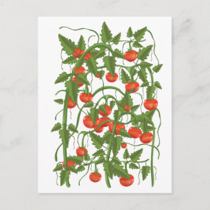 Carte Postale Motif de tomates