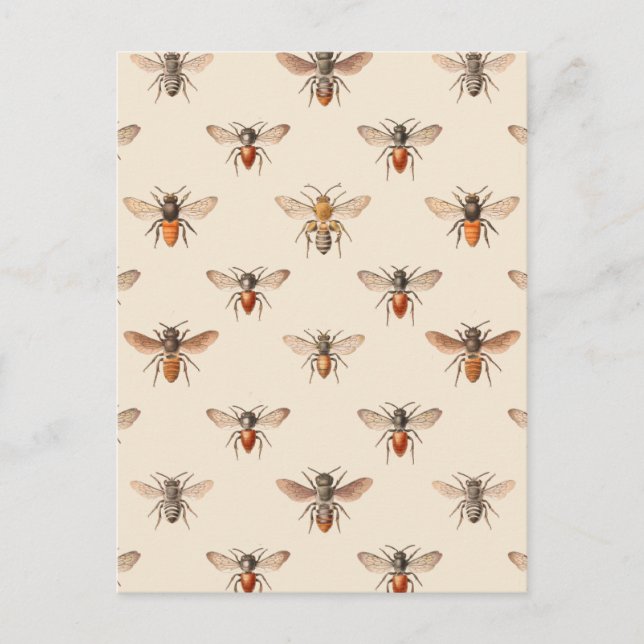 Carte Postale Motif d'illustration d'abeille vintage (Devant)