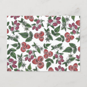 Carte Postale Motif d'illustration vintage Feuilles framboise