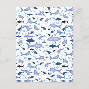 Carte Postale Motif en silhouette de requin blanc et bleu