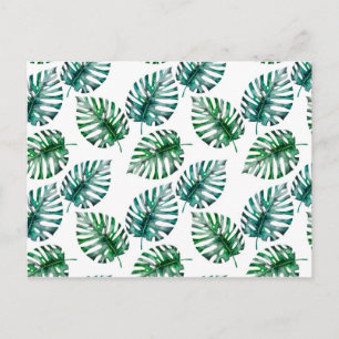 Carte Postale Motif Feuille Tropical Aloha Monstera