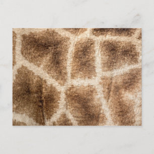 Carte Postale Motif Giraffe