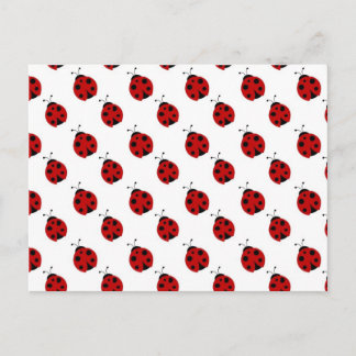 Carte Postale Motif Ladybug mignon