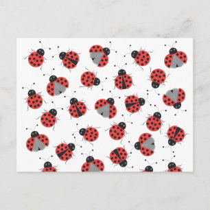 Carte Postale Motif Ladybugs