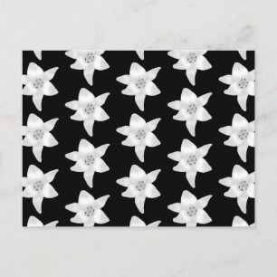 Carte Postale Motif Lily élégant en noir et blanc.