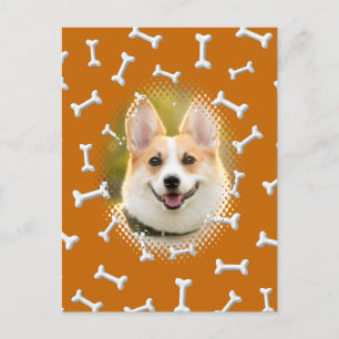 Carte Postale Motif osseux Chien Frame Art