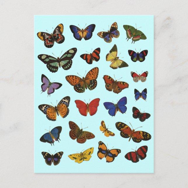 Carte Postale Motif Papillon – Botanique Inspirée de la Nature (Devant)