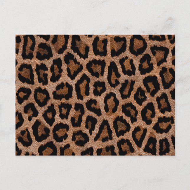 Carte Postale Motif poster de animal Brown (Devant)