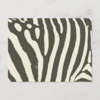 Motif Poster de animal Zebra Stripe
