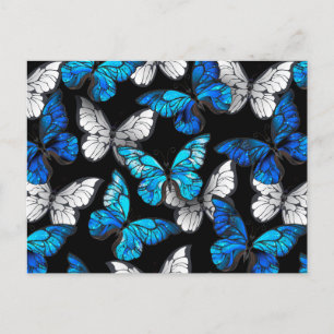 Carte Postale Motif sans couture sombre avec papillons bleus Mor