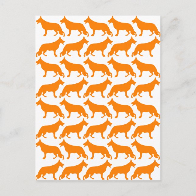 Carte Postale Motif Shepherd Allemand (Devant)