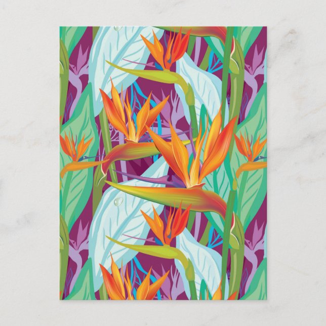 Carte Postale Motif Strelitzia (Devant)
