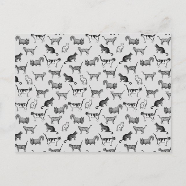 Carte Postale Motif vintage Cats (Devant)