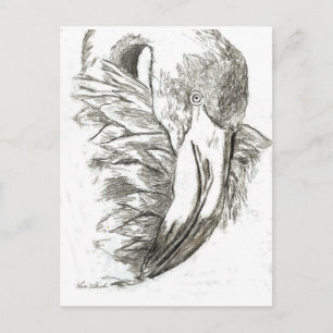 Carte Postale Motifs de Flamant rose