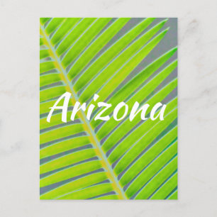 Carte Postale Motifs de Palms, Arizona