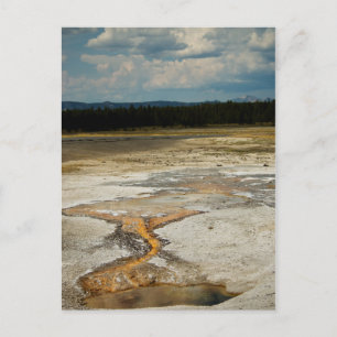 Carte postale Motifs peints