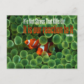 Carte postale Motivation du stress