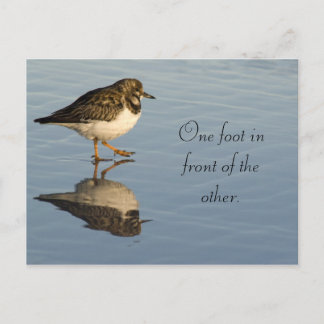 Carte postale Motivation Oiseau Sadpiper mignonne