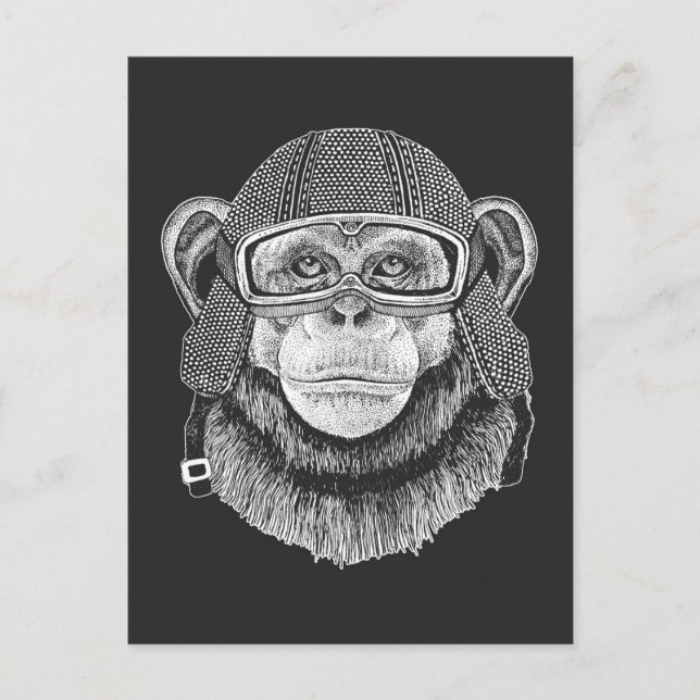 Carte Postale Motocycliste Chimpanzé (Devant)