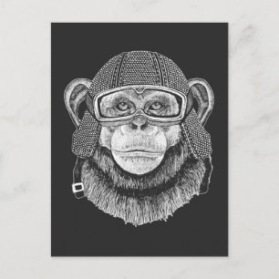 Carte Postale Motocycliste Chimpanzé