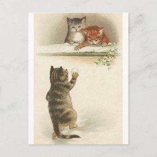 Carte Postale Motoneige d'hiver plaisir Postcard