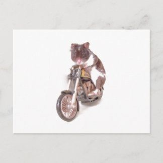 Carte postale Motorcycle Hamster