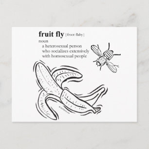 CARTE POSTALE MOUCHE DE LA FRUIT